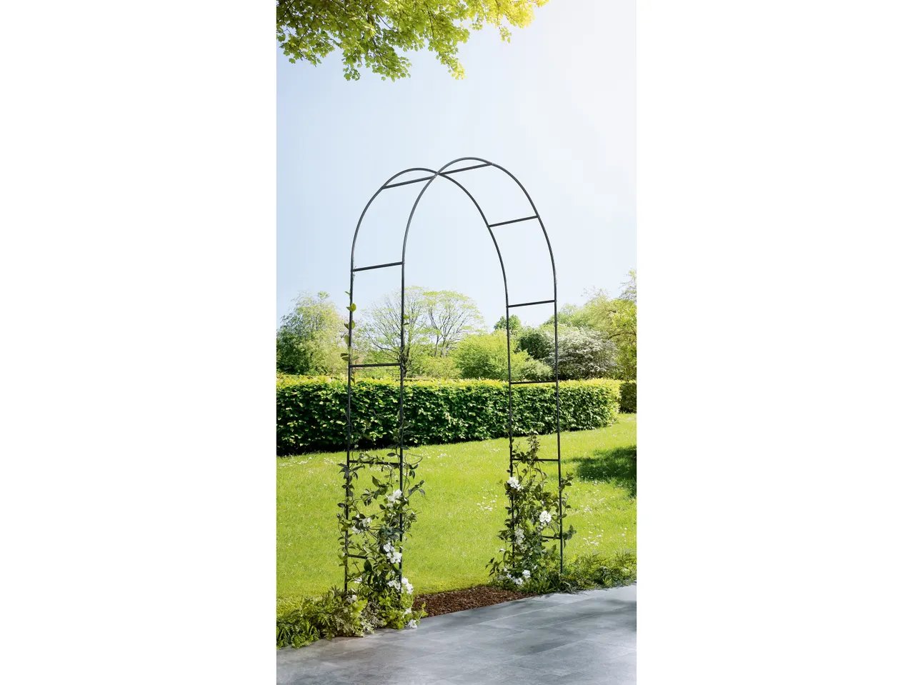 Supporto o arco per rampicanti