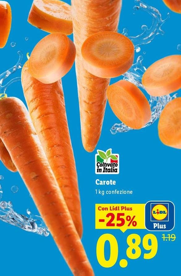 Carote