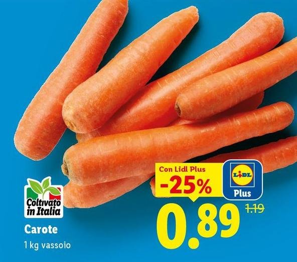 Carote