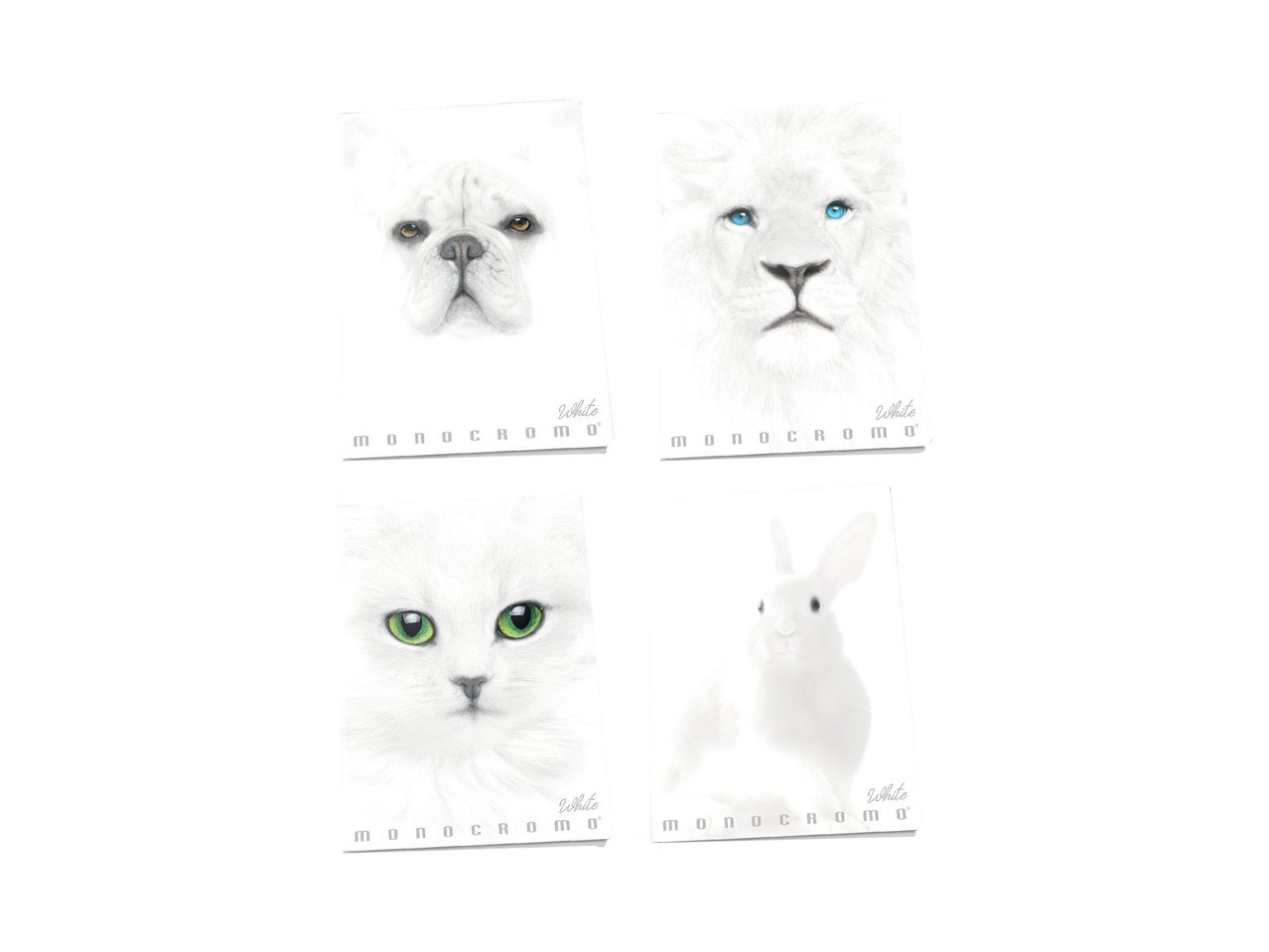 Maxi Quaderno Black & White