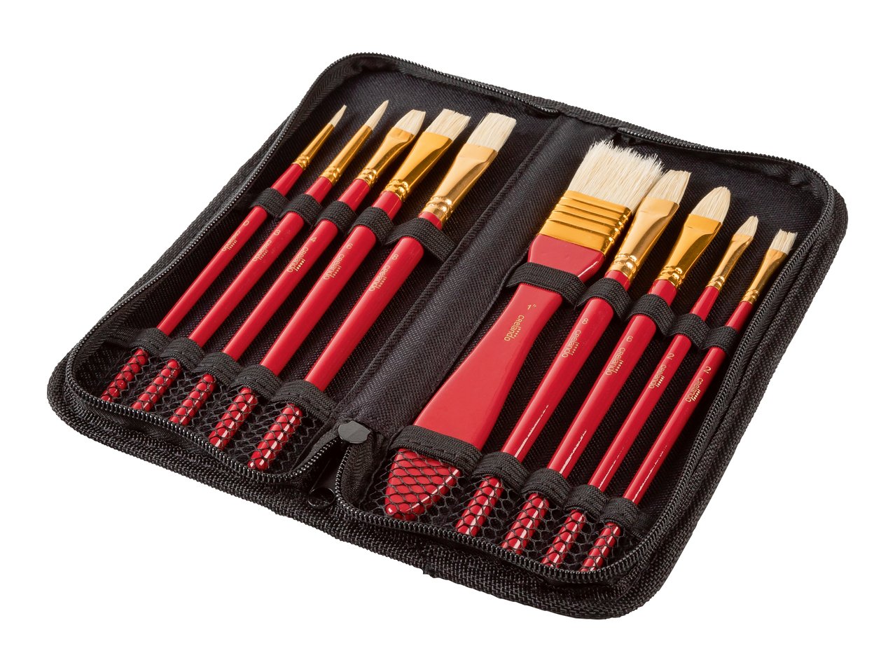 Set pennelli con custodia