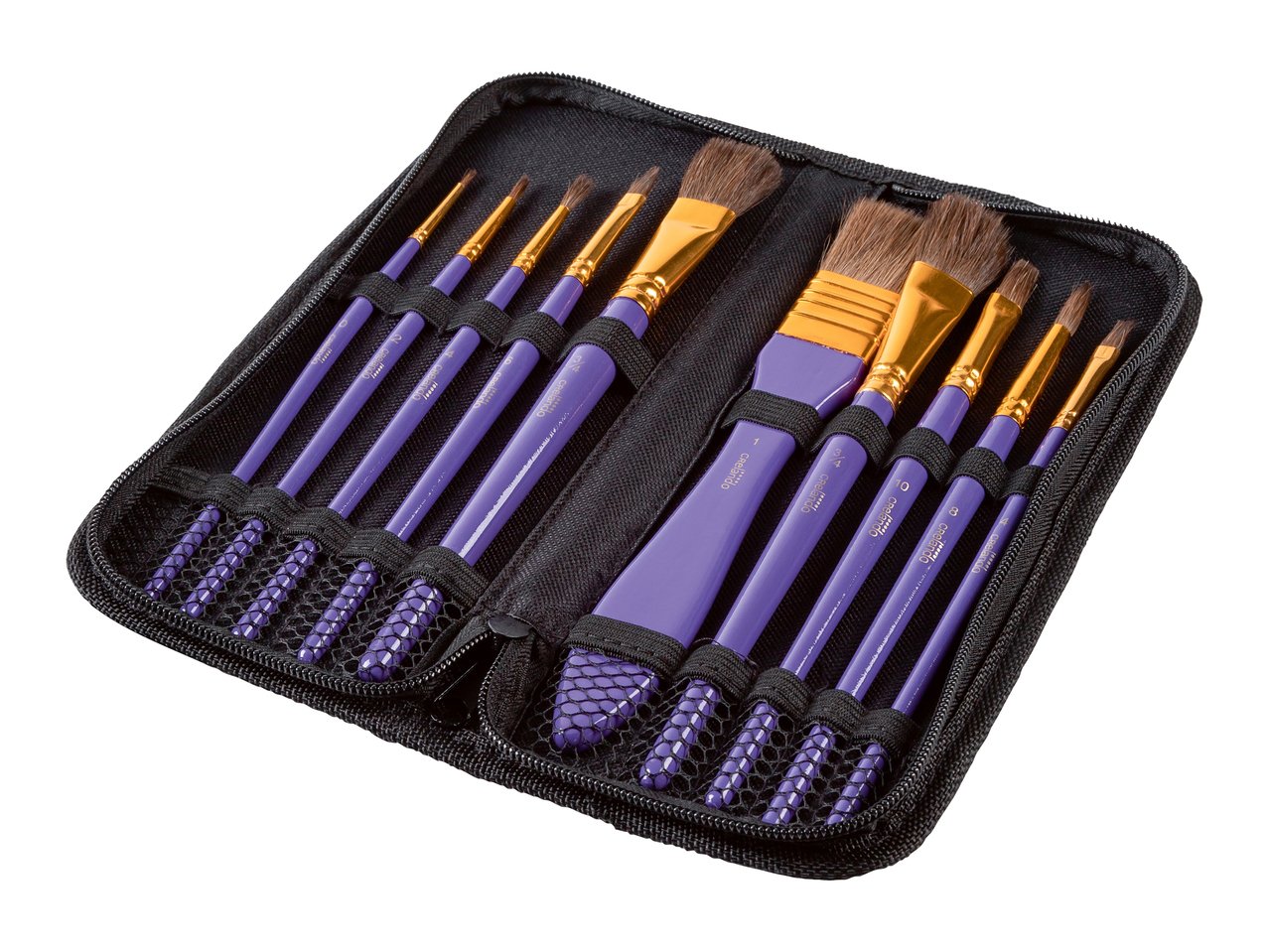 Set pennelli con custodia