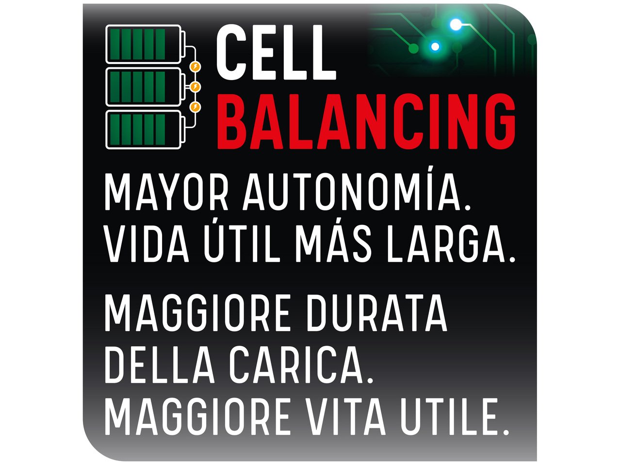 Batteria 2 Ah con caricabatterie