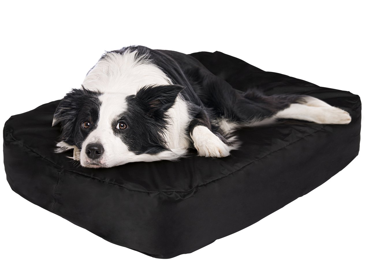 Lettino gonfiabile per cani