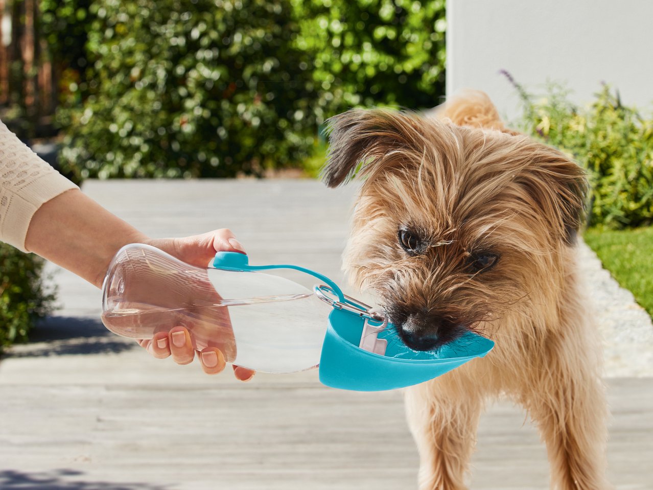 Borraccia o ciotola pieghevole per cani