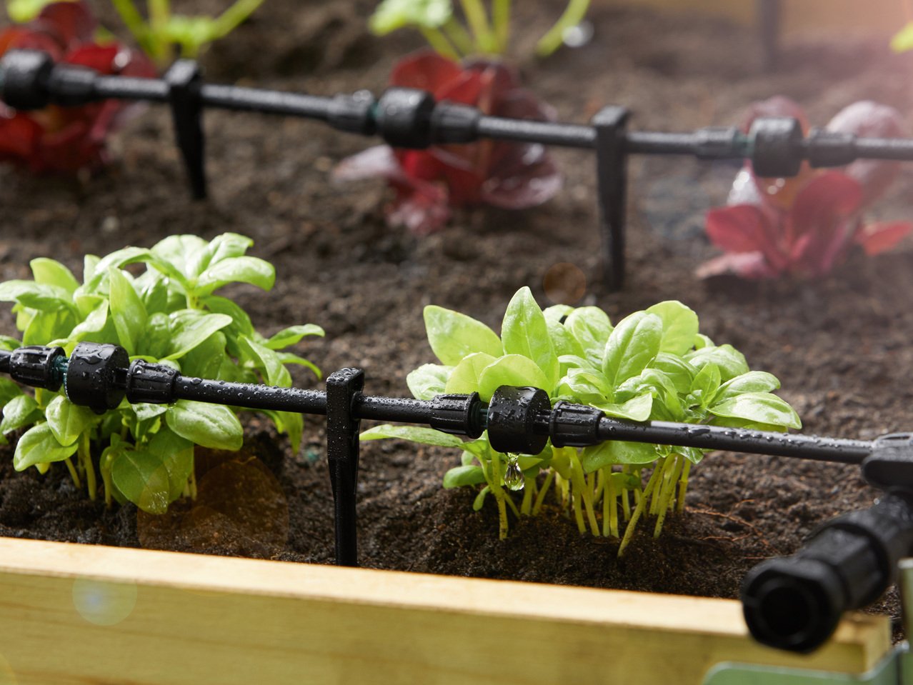 Set irrigazione a goccia