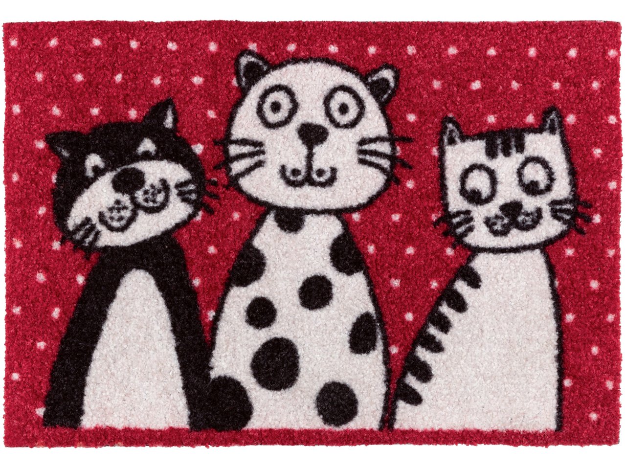 Tappeto catturasporco