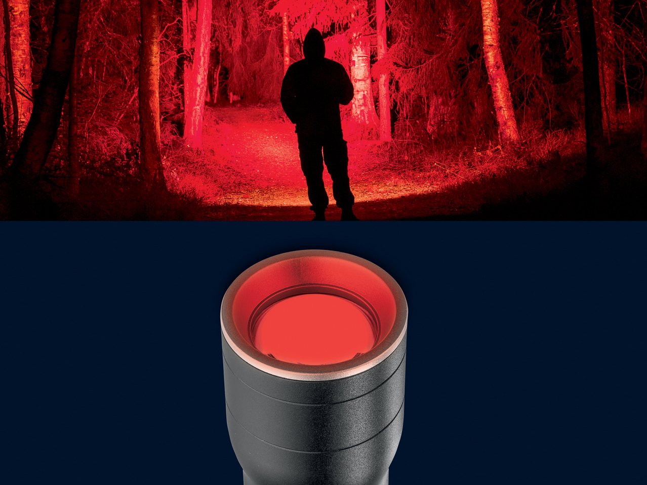 Torcia ricaricabile LED 4 colori