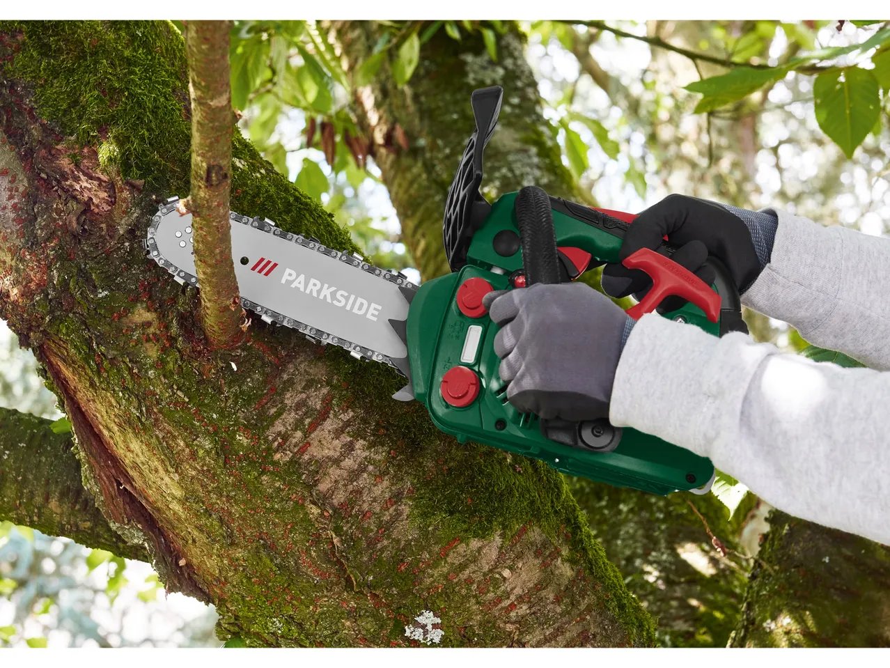 Motosega a benzina per potatura