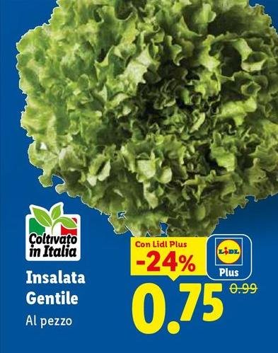 Insalata Gentile