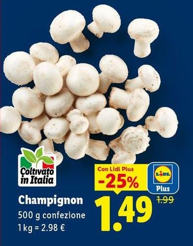 Champignon
