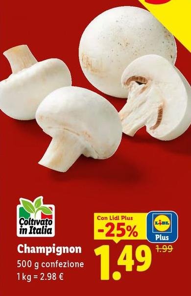 Champignon