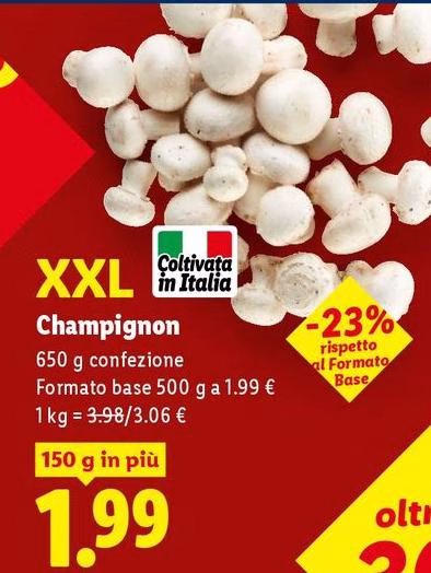 Champignon