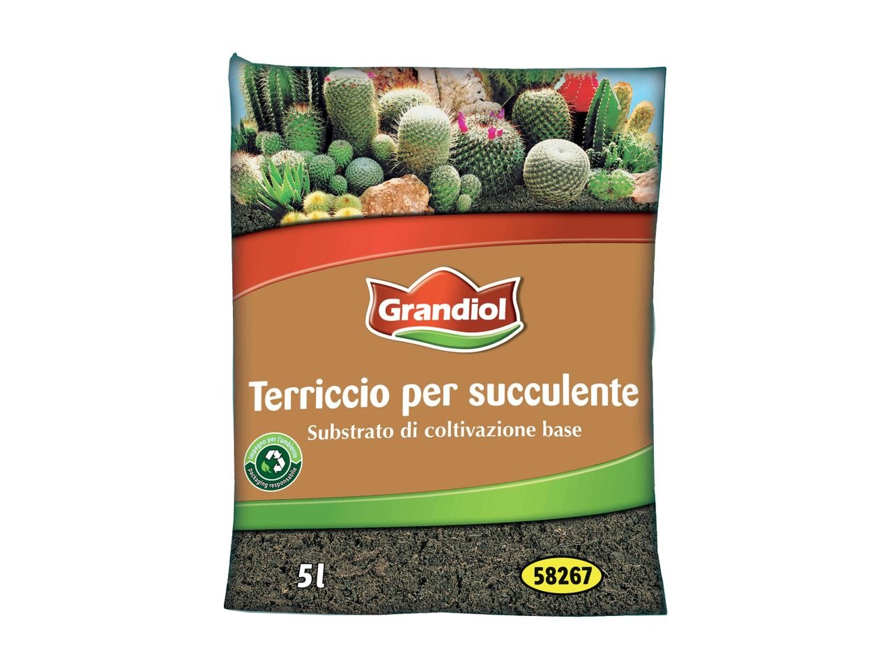 Terriccio per piante grasse