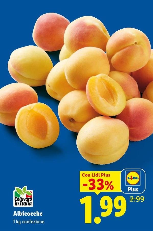 Albicocche