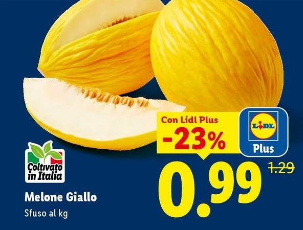 Melone Giallo