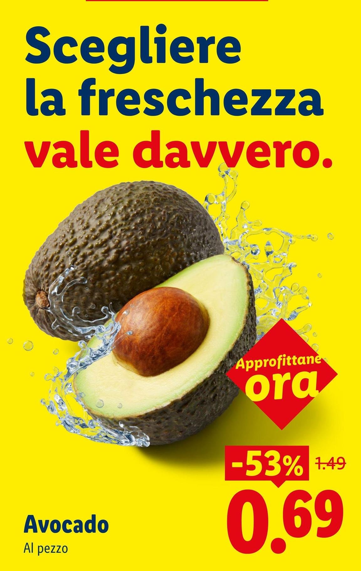 Avocado
