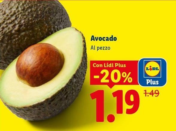 Avocado