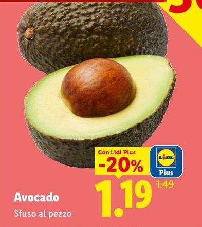 Avocado