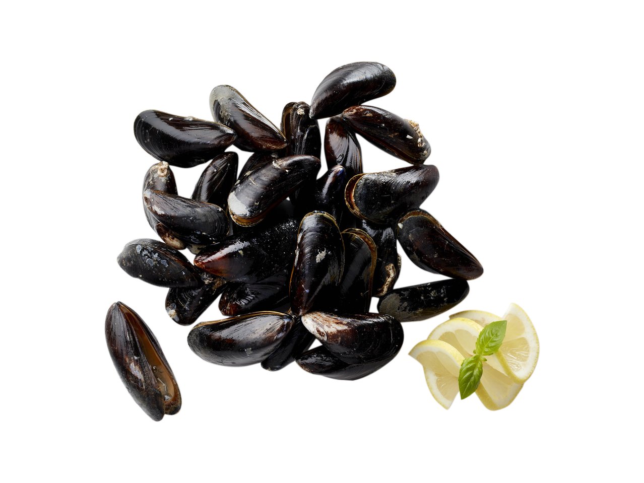 Cozze