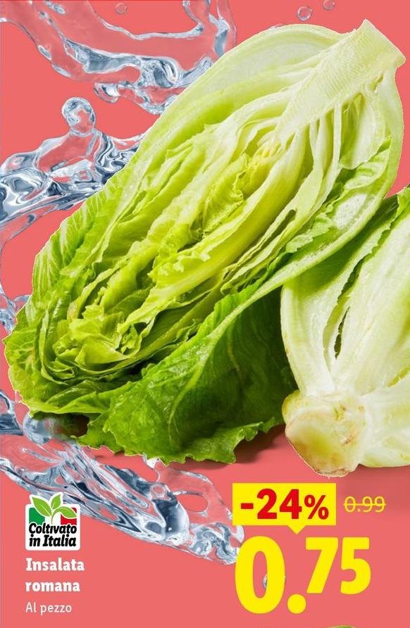 Insalata Romana