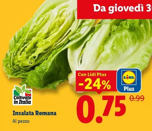 Insalata Romana