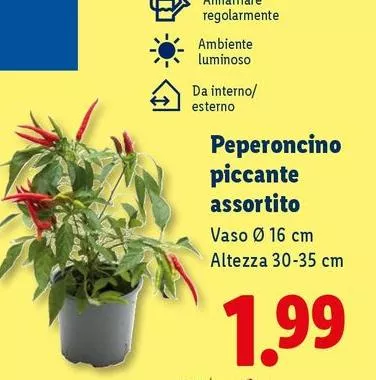 Peperoncino Piccante Assortito