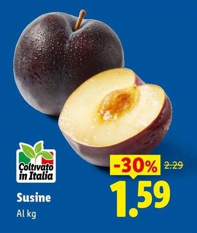 Susine