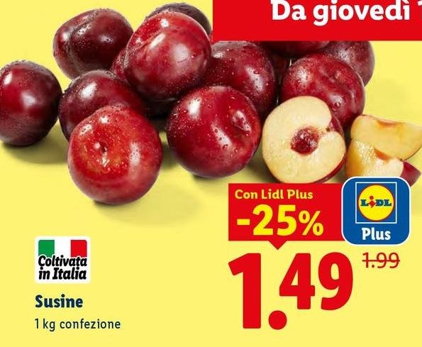 Susine