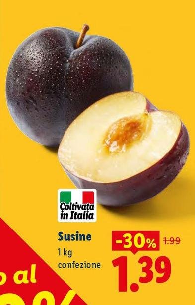 Susine