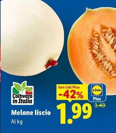 Melone Liscio