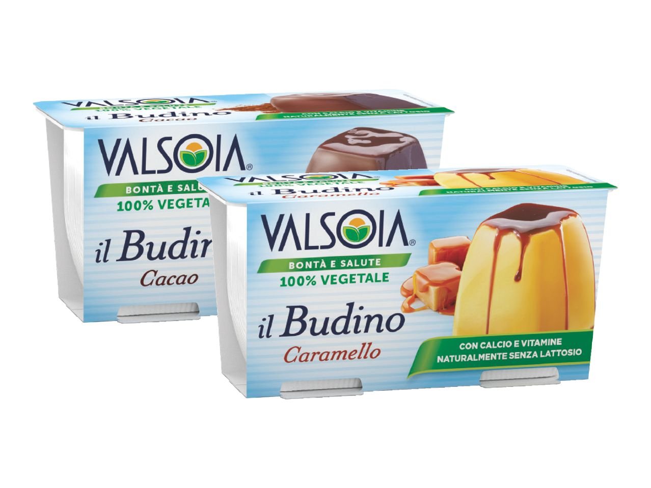 Il Budino 100% vegetale