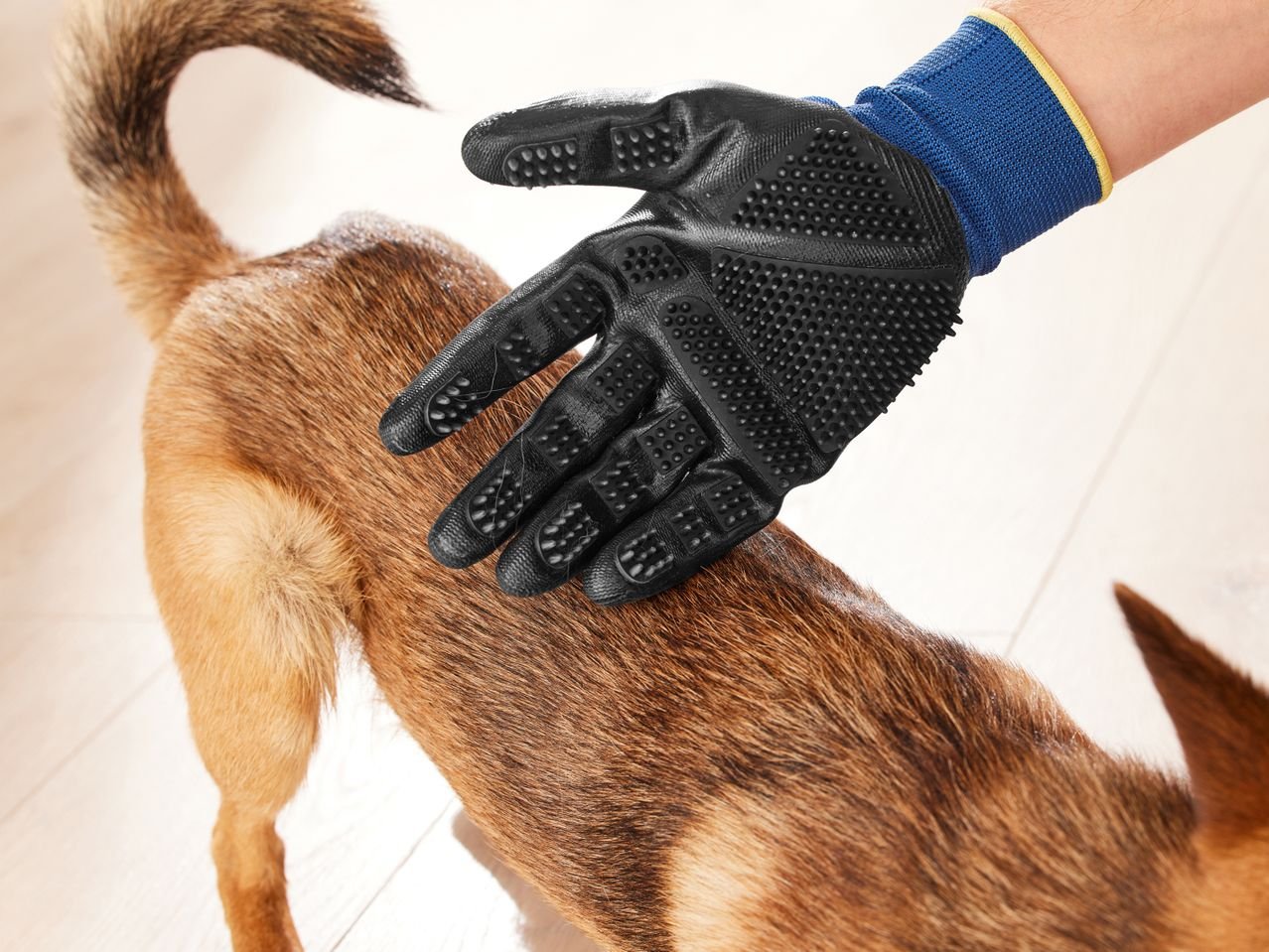 Guanto spazzola per animali