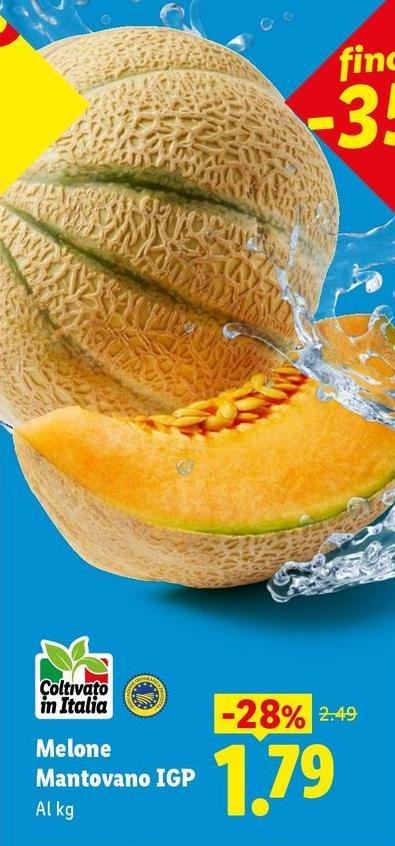 Melone Mantovano IGP