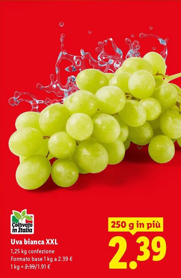 Uva Bianca Xxl