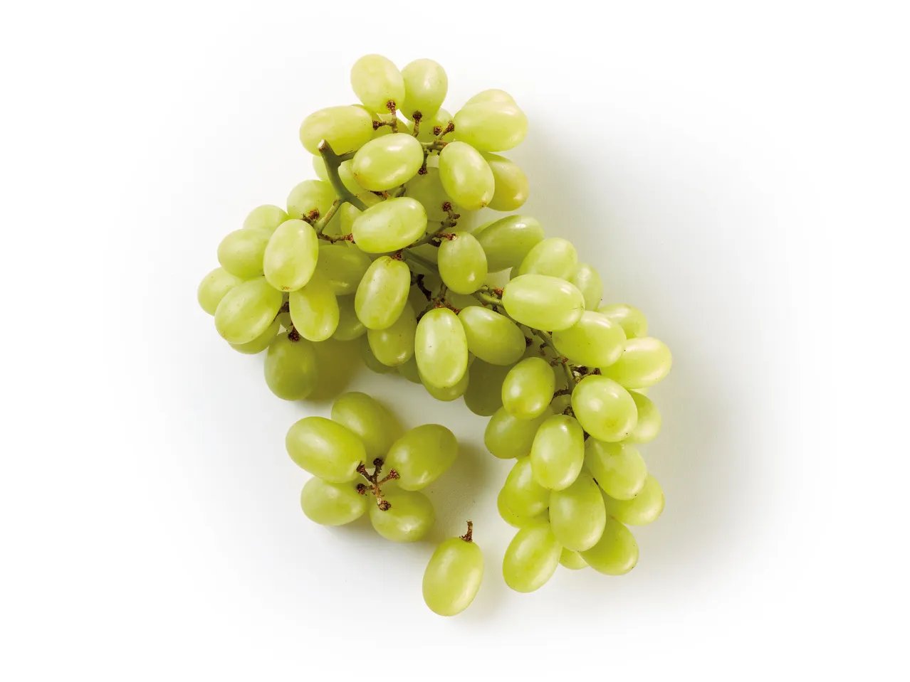 Uva bianca XXL
