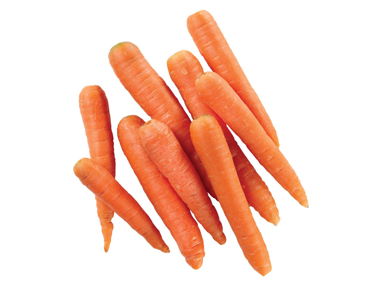 Carote XXL