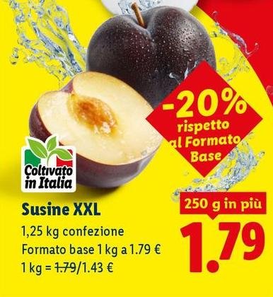 Susine XXL