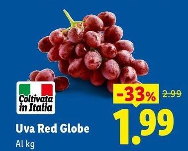 Uva Red Globe