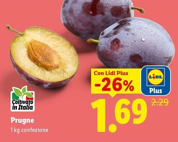 Prugne