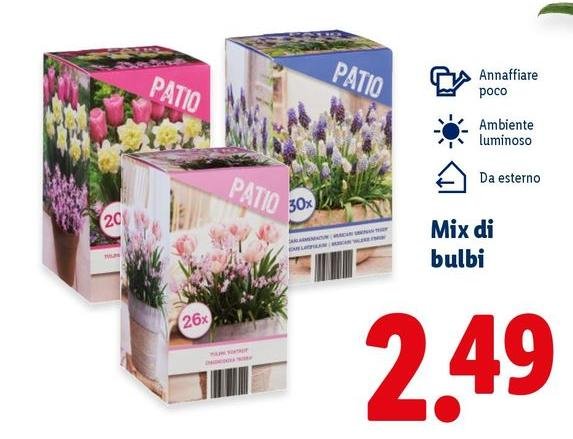 Mix Di Bulbi