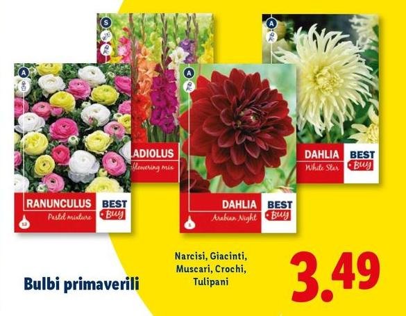 Bulbi Primaverili