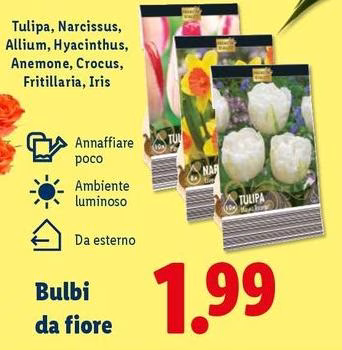 Bulbi Da Fiore