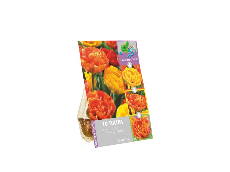 Bulbi da fiore