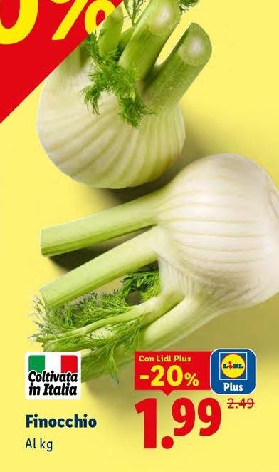 Finocchio