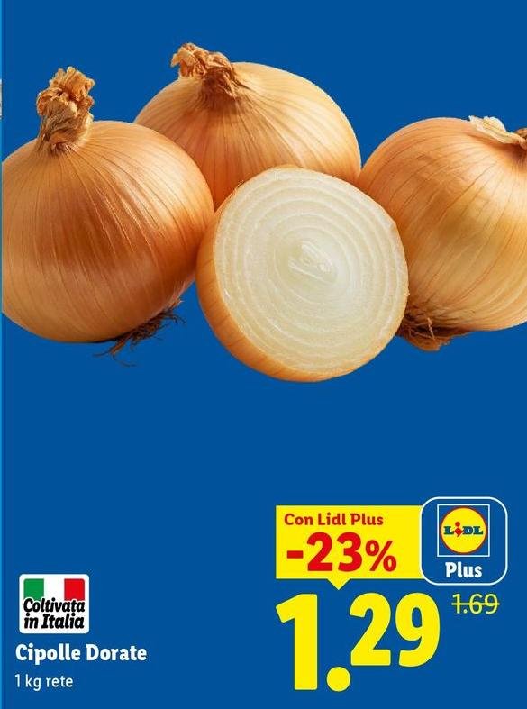 Cipolle Dorate