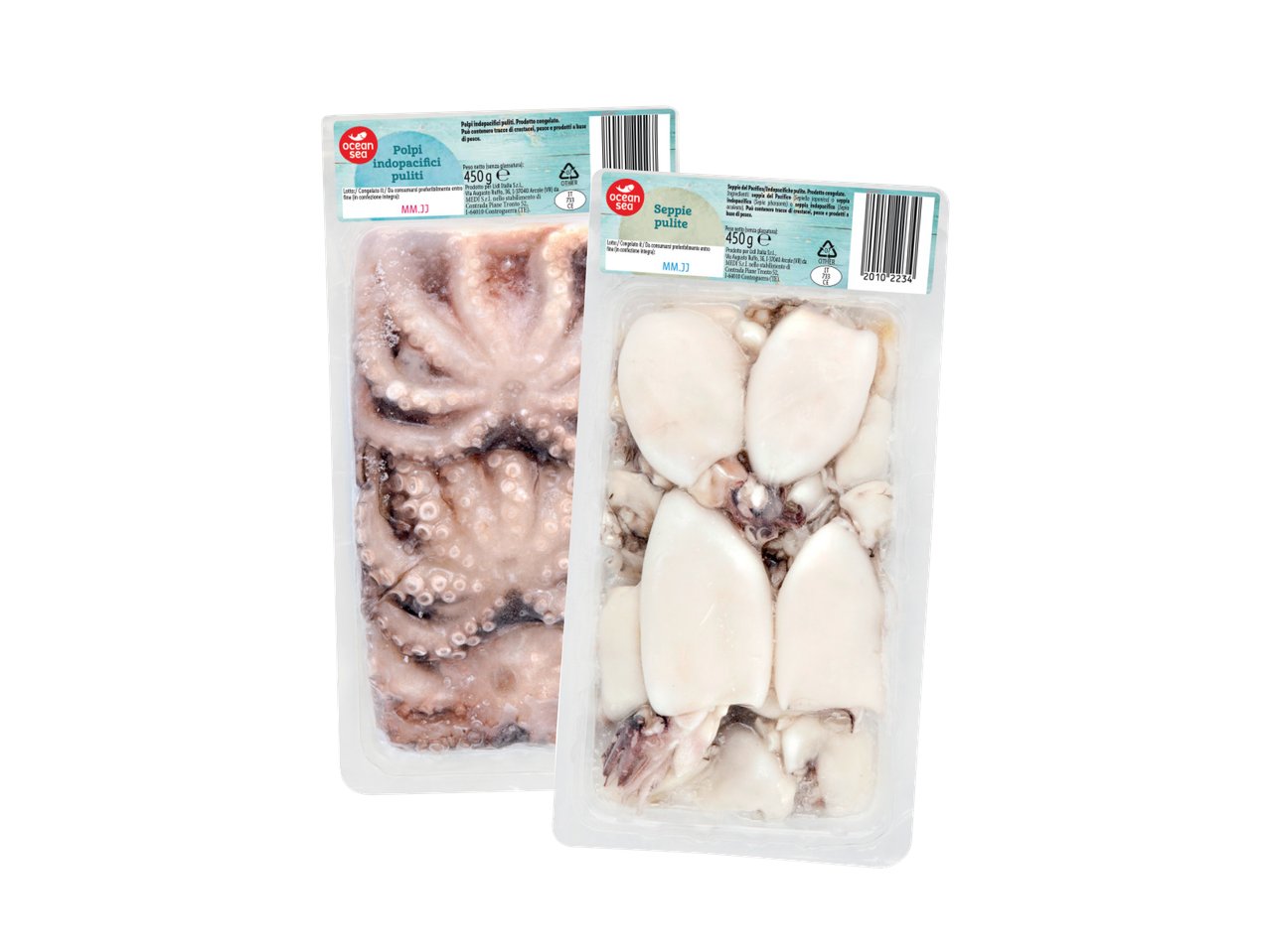 Polpi o seppie