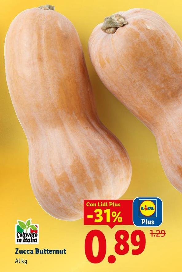 Zucca Butternut