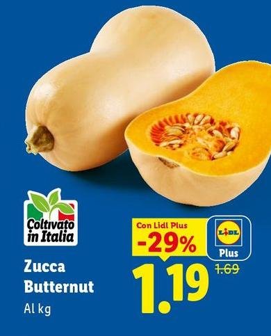 Zucca Butternut