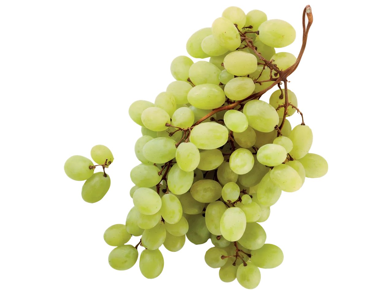 Uva di Mazzarrone IGP